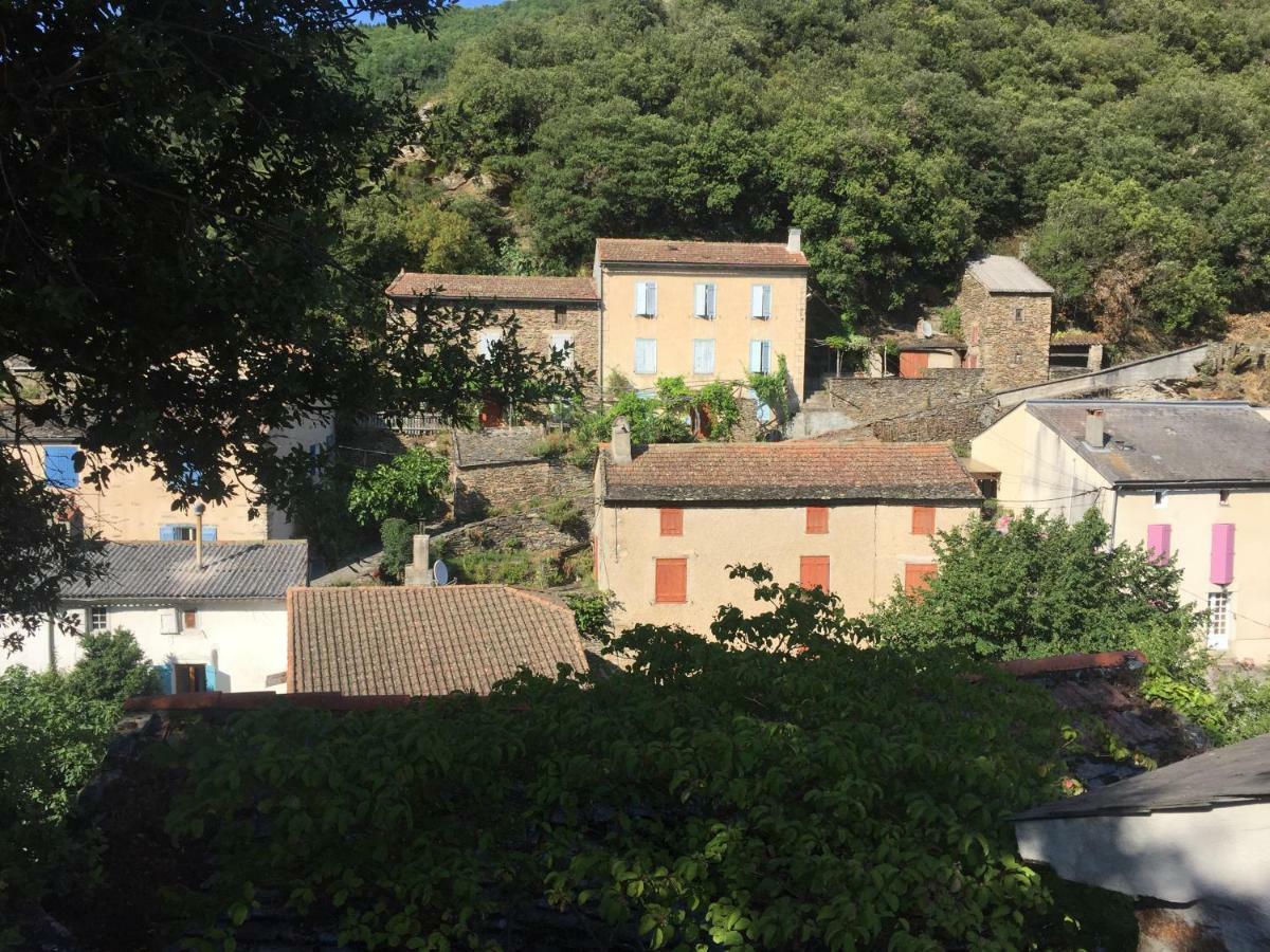 Les Volets Verts Miraval-Cabardes Exterior foto